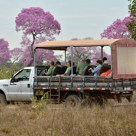 Southwild Pantanal Lodge Pixaim Dış mekan fotoğraf