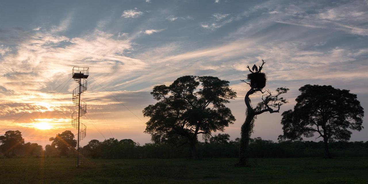 Southwild Pantanal Lodge Pixaim Dış mekan fotoğraf