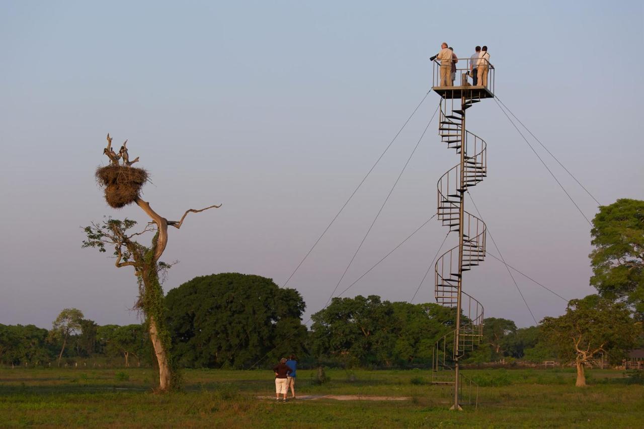 Southwild Pantanal Lodge Pixaim Dış mekan fotoğraf