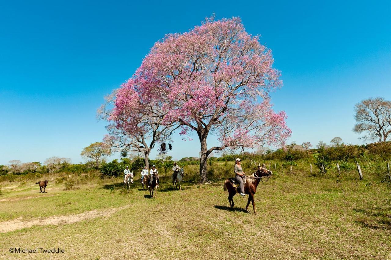 Southwild Pantanal Lodge Pixaim Dış mekan fotoğraf