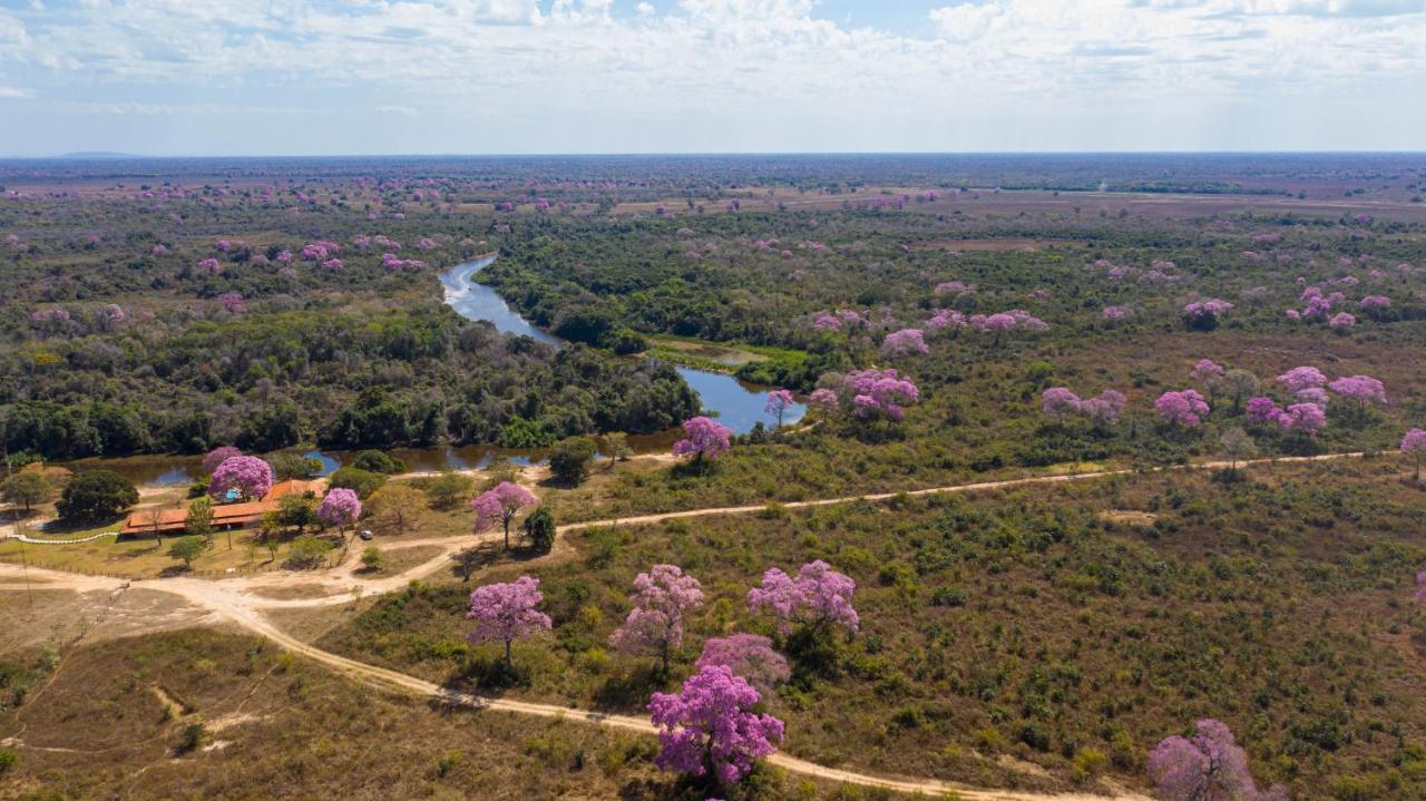 Southwild Pantanal Lodge Pixaim Dış mekan fotoğraf