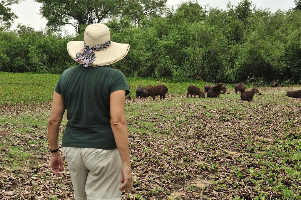 Southwild Pantanal Lodge Pixaim Dış mekan fotoğraf