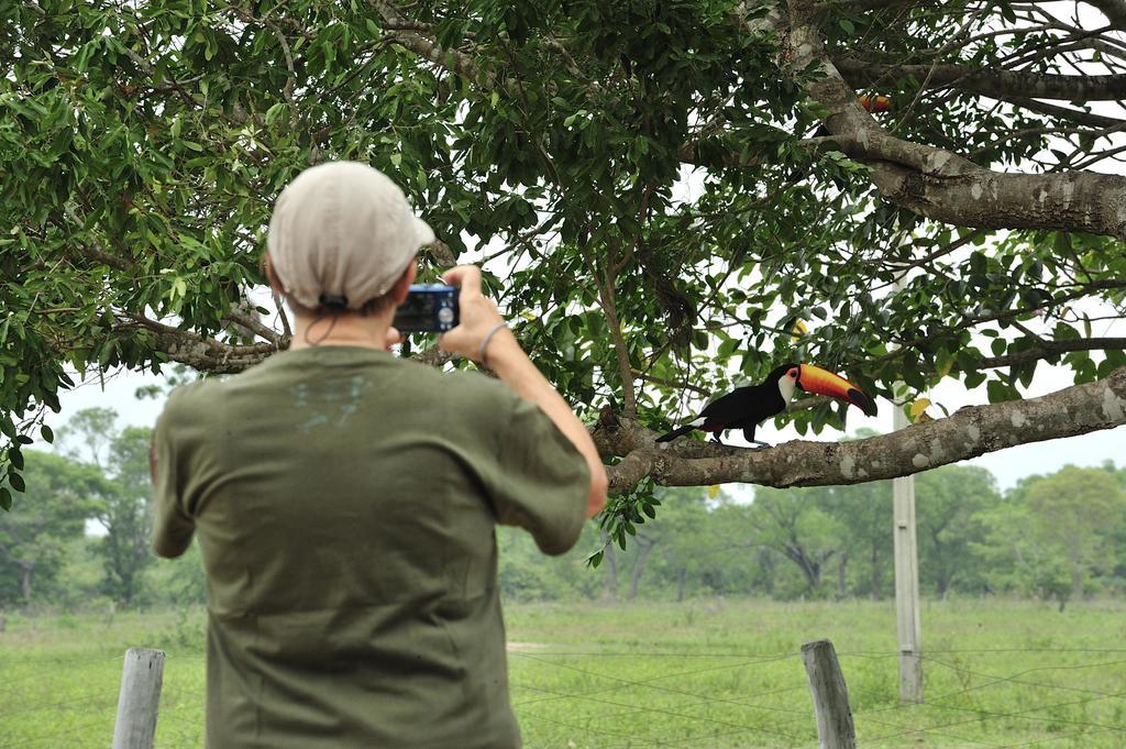 Southwild Pantanal Lodge Pixaim Dış mekan fotoğraf