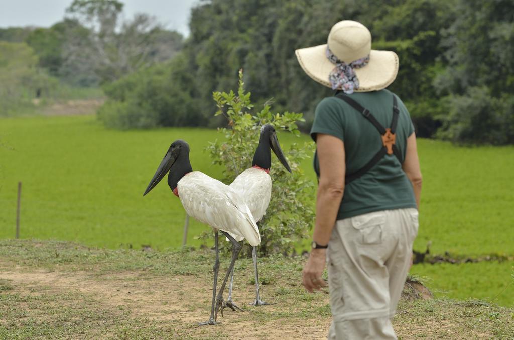 Southwild Pantanal Lodge Pixaim Dış mekan fotoğraf