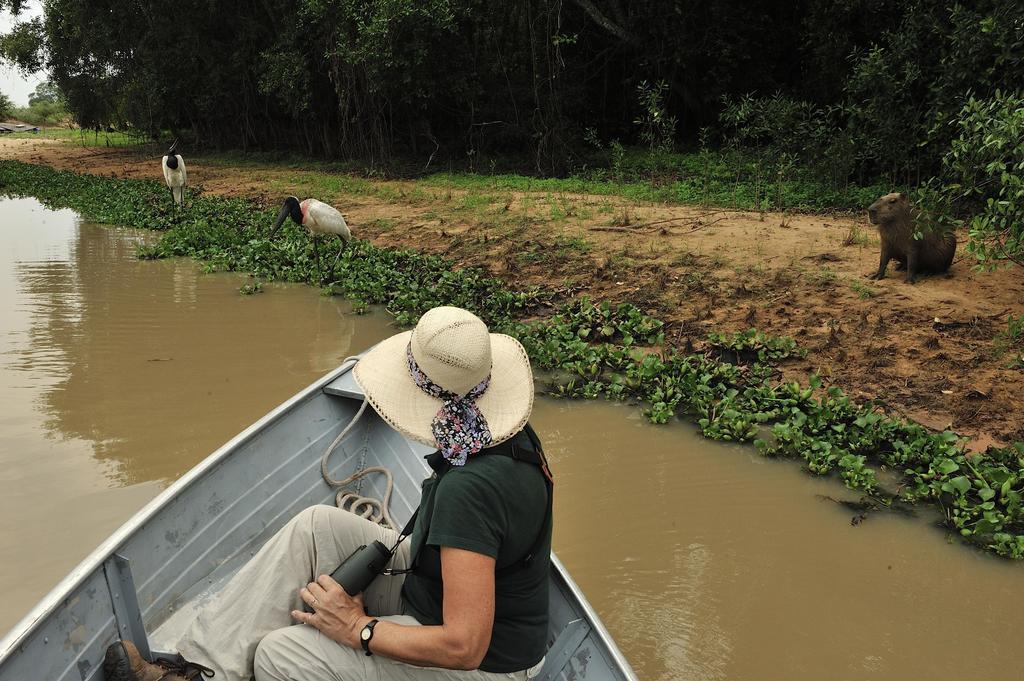 Southwild Pantanal Lodge Pixaim Dış mekan fotoğraf