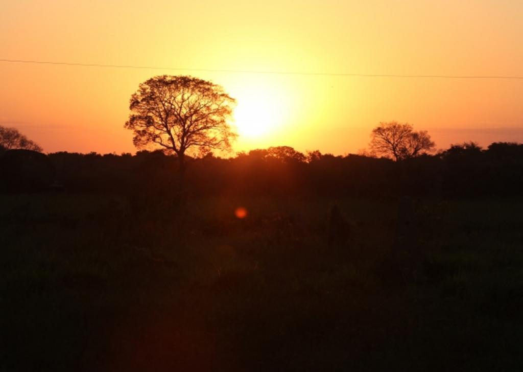 Southwild Pantanal Lodge Pixaim Dış mekan fotoğraf