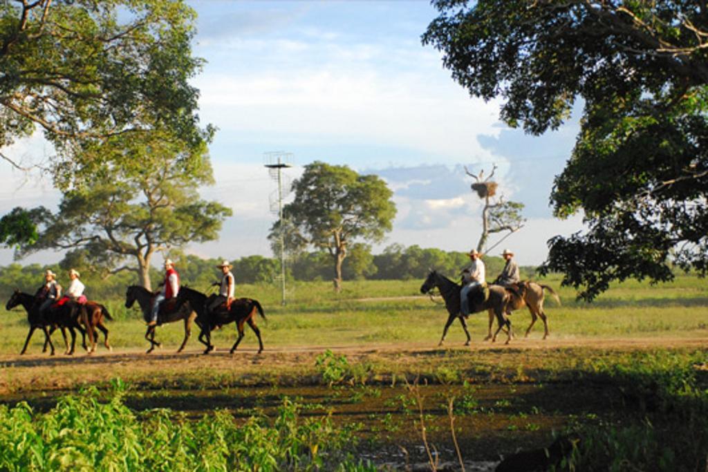 Southwild Pantanal Lodge Pixaim Dış mekan fotoğraf