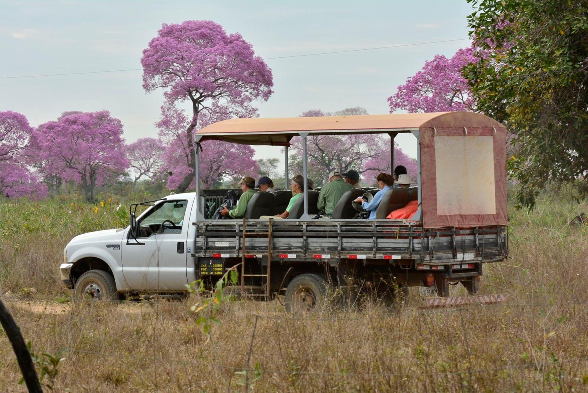 Southwild Pantanal Lodge Pixaim Dış mekan fotoğraf
