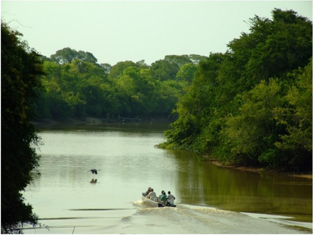 Southwild Pantanal Lodge Pixaim Dış mekan fotoğraf